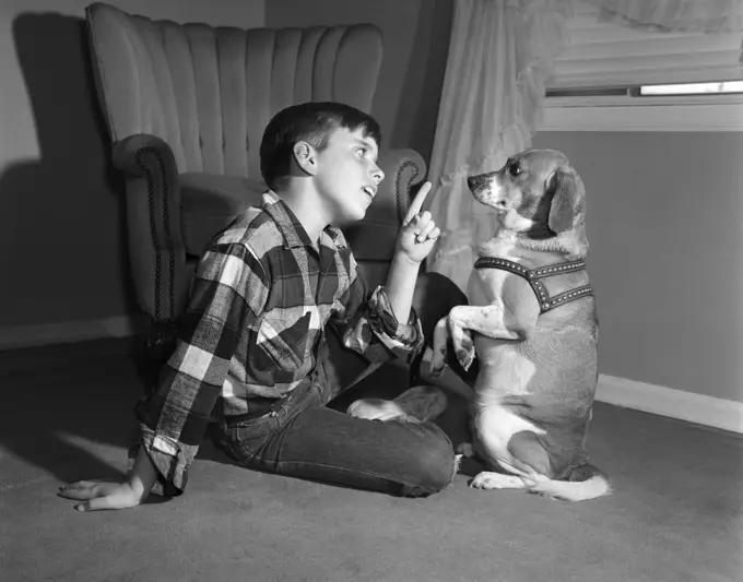 1950S Boy In Plaid Shirt Shaking Finger At Dog Sitting Up On Rear Legs