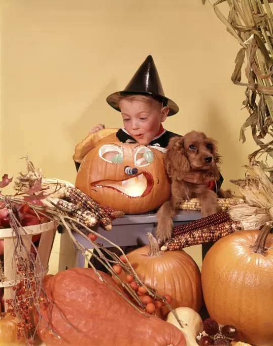 1960s EXCITED BOY WEARING BLACK WITCH COSTUME HAT LOOKING INTO CARVED PUMPKIN JACK-O-LANTERN