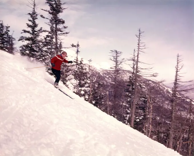1960s 1960s MAN SKIING SKI DOWN MOUNTAIN TREES EVERGREEN SOME BARREN  