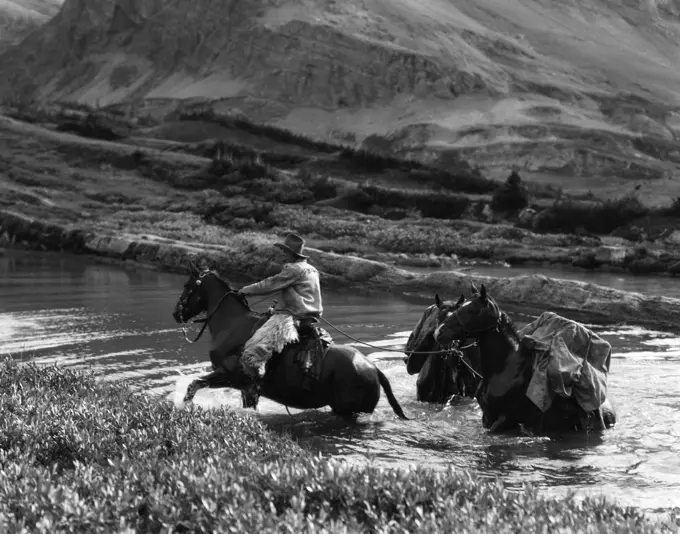 Cowboy Wearing Angora Chaps Crossing A Stream Leading Two Pack Horses Loaded With Equipment Baker Lake Alberta Canada