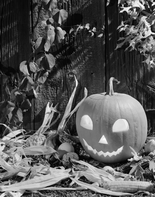 1960S Halloween Jack-O'-Lantern