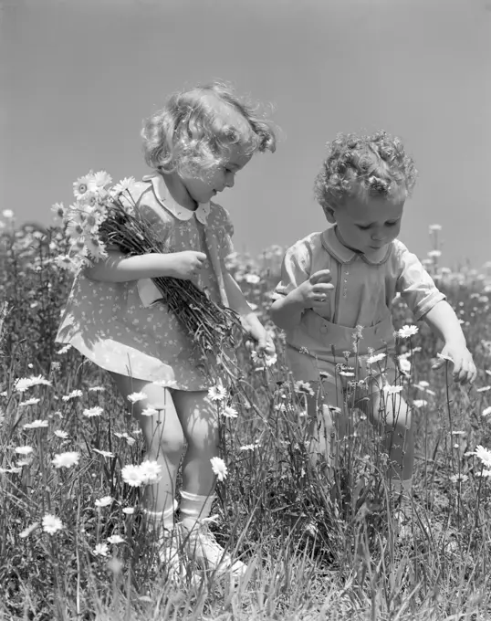 1940S Boy & Girl Picking Daisies