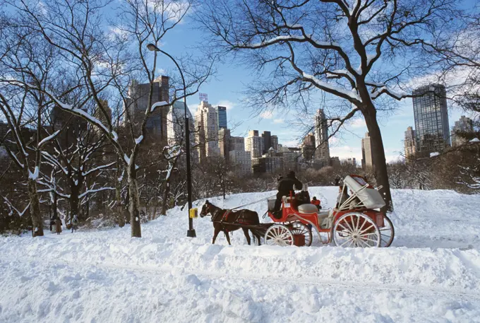 NEW YORK CITY HORSE AND CARRIAGE IN CENTRAL PARK IN SNOW