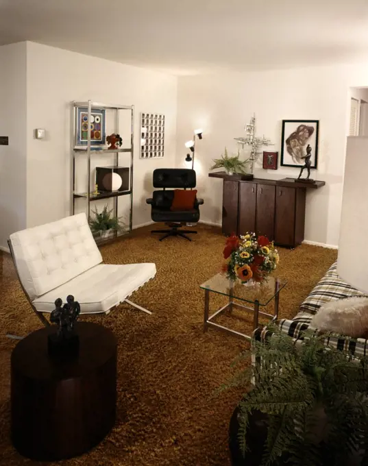 1970S Apartment Living Room Shag Rug