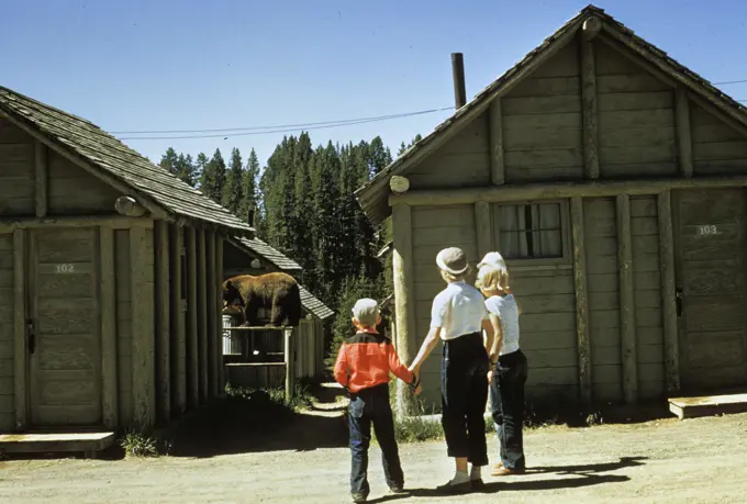 1950S Mother And Children Visiting Yellowstone National Park Wyoming 1956, Looking At Bear Behind Cabins