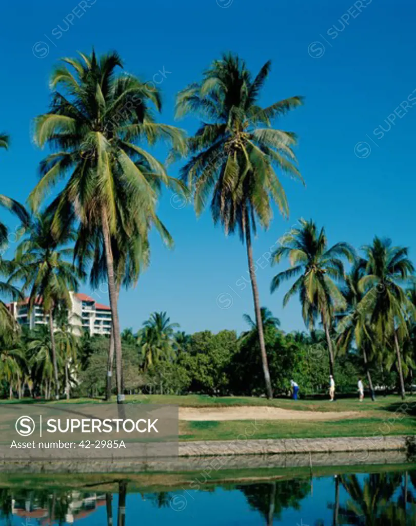 Palm trees on a golf course, Acapulco, Guerrero, Mexico