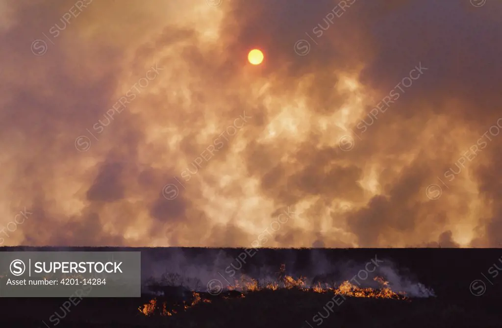 Prairie burn in Tallgrass Prairie National Preserve, Oklahoma