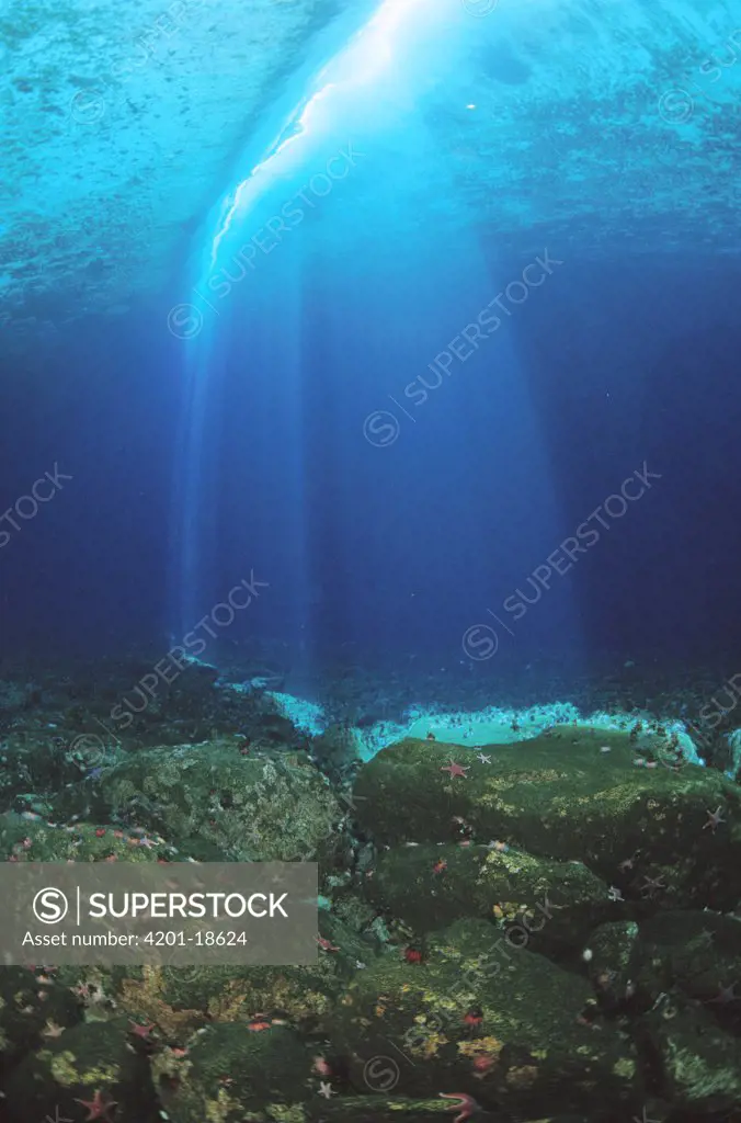 Crack in sea ice seen from underwater, tidal shifts cause sea ice to crack in pressure ridges near islands, Antarctica