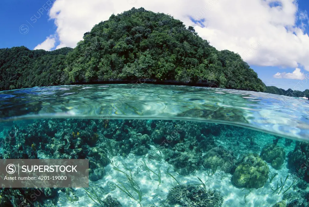 The Rock Islands of Palau, the limestone islands have been eroded into mushroom-like formations