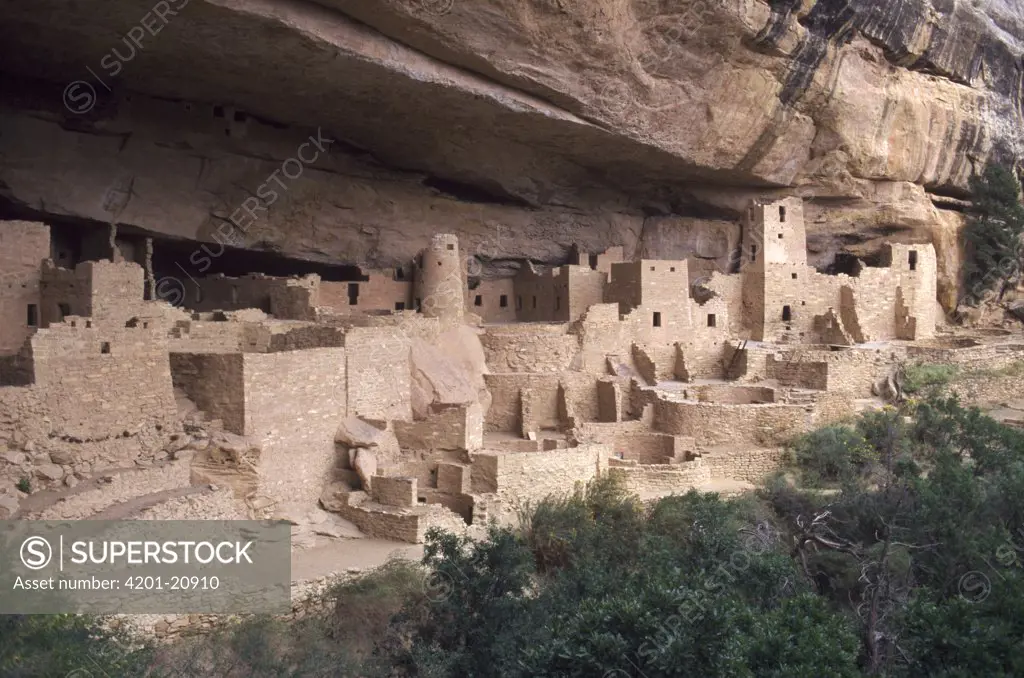 Pueblo or Anasazi Indian cliff dwellings built around 1200 AD, Cliff Palace, Mesa Verde National Park, Colorado