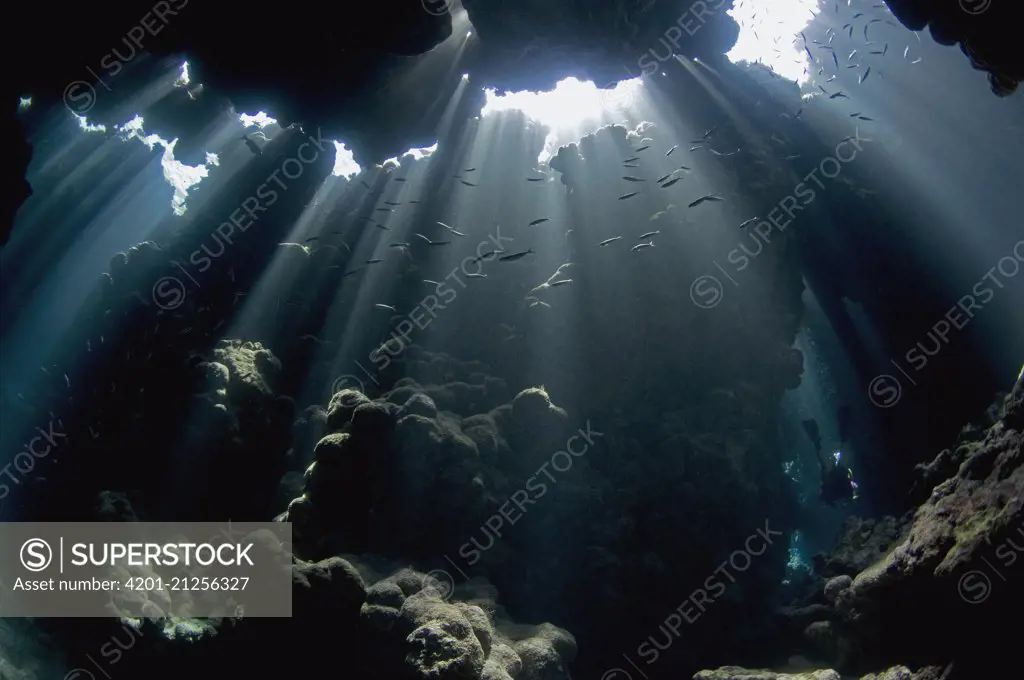 Sunlight coming into underwater cave, Red Sea, Egypt