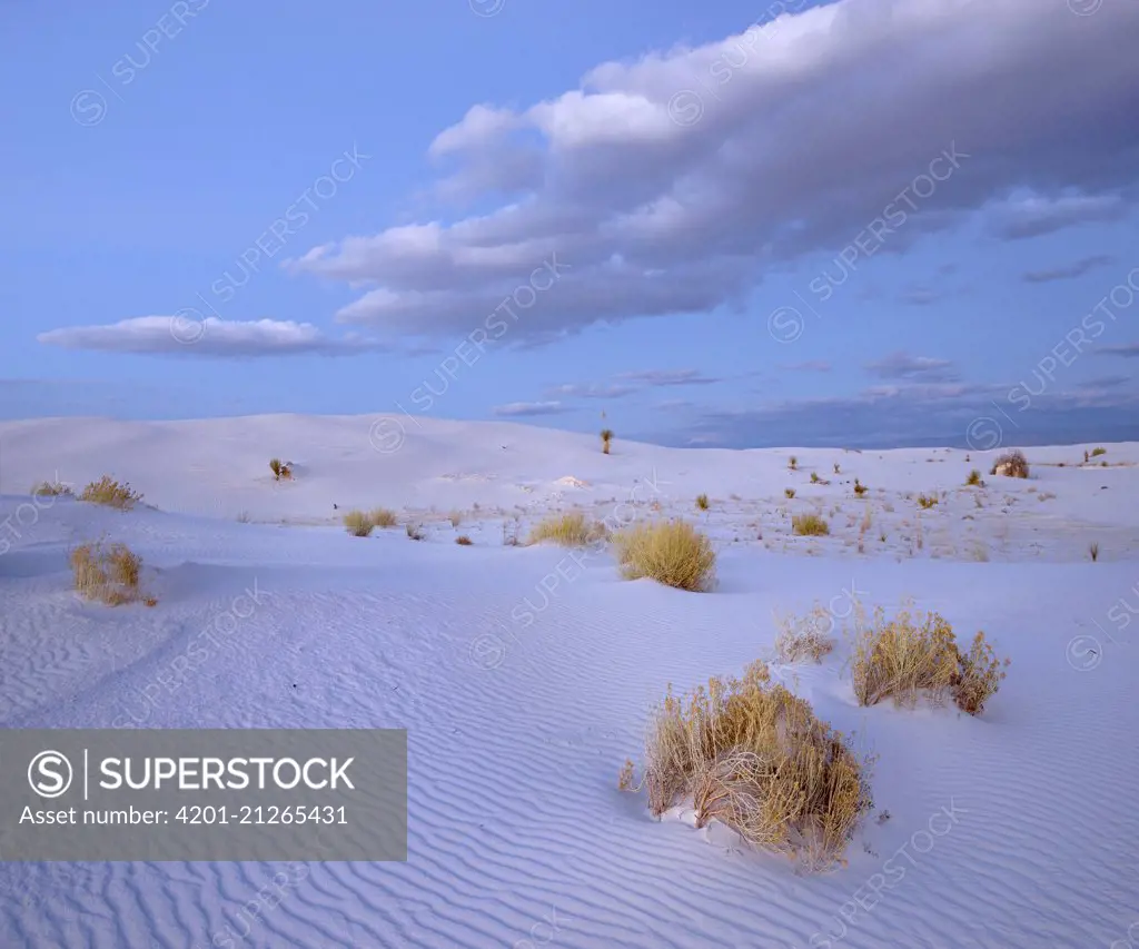 Sand dunes, White Sands National Monument, New Mexico