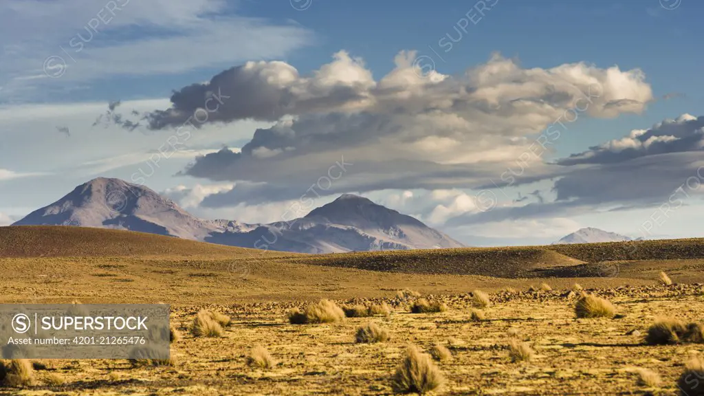 Clouds over altiplano and mountains, Guallatiri Volcano, Chile