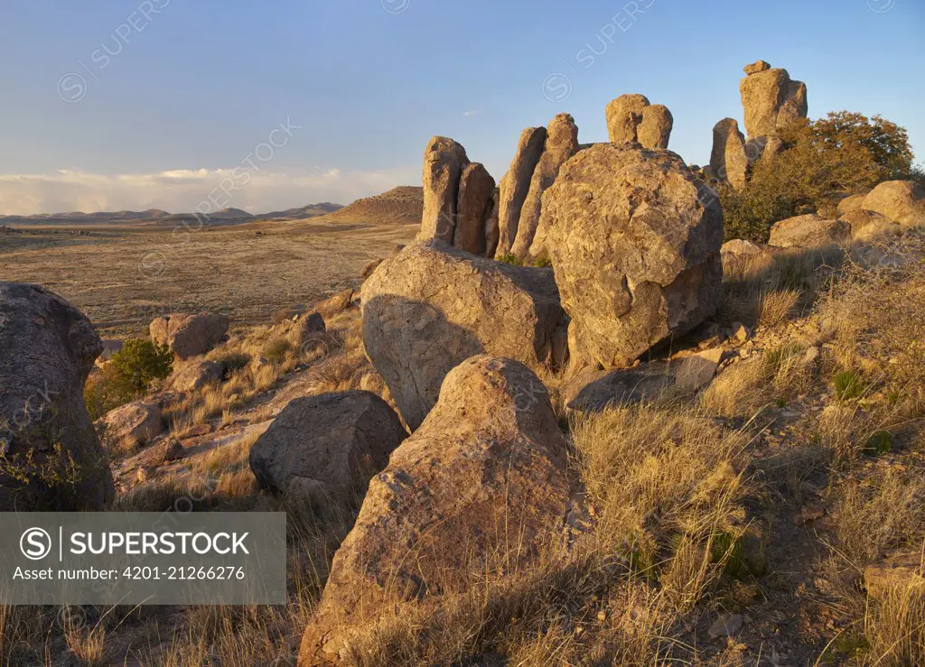 Rock formations, City of Rocks State Park, New Mexico