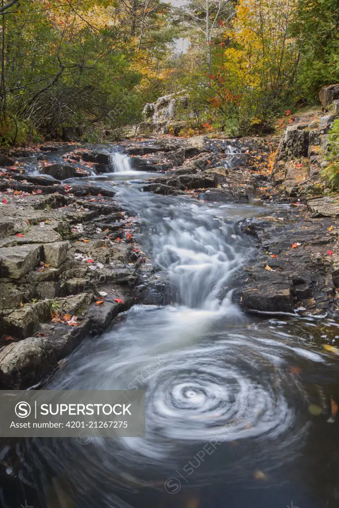 Creek, Acadia National Park, Maine