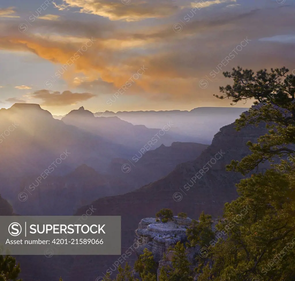 Sunrise at Yavapai Point with Vishnu Temple, Wotans Throne, Grand Canyon National Park, Arizona