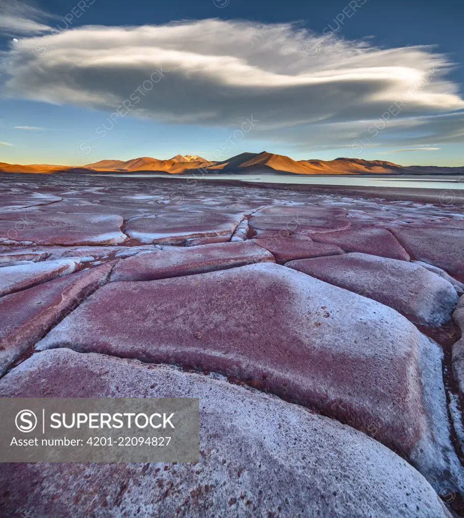 Salar de Talar salt flat and Piedras Rojas lava flow in altiplano, Socaire, Chile