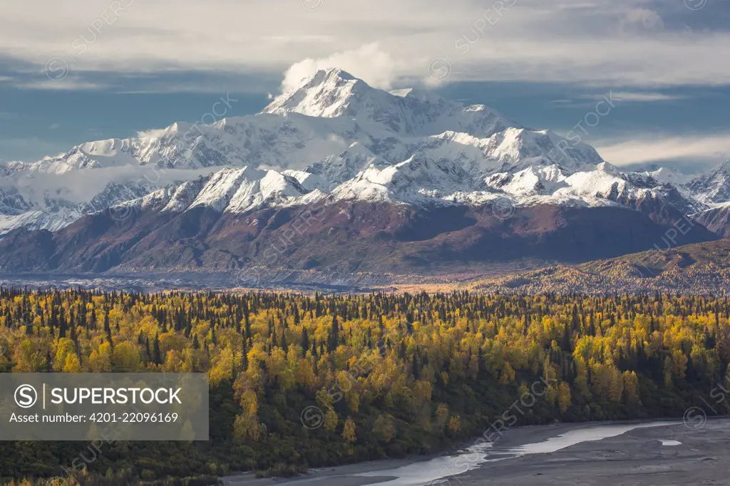 Mount Denali above Chulitna River and taiga in autumn, Denali National Park, Alaska