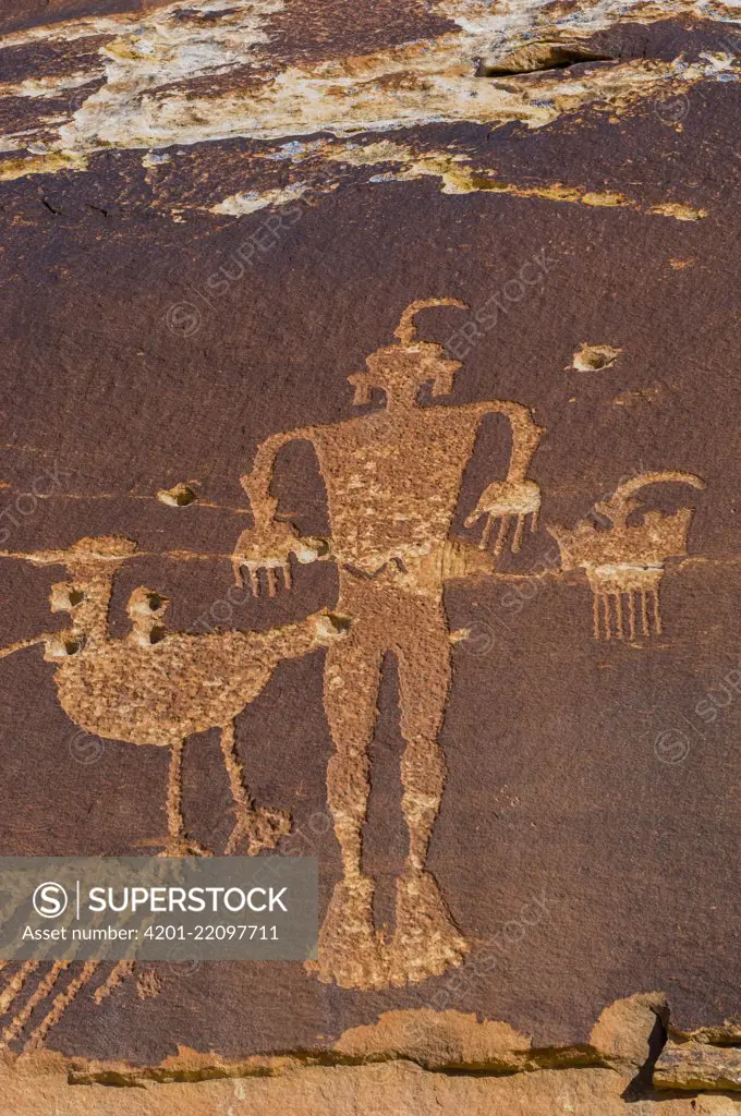 Petroglyphs made by Ancestral Puebloans with bullet holes, Wolfman Panel, Comb Ridge, Cedar Mesa, Bears Ears National Monument, Utah