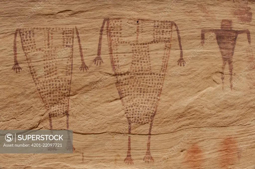 Petroglyphs made by Ancestral Puebloans, Birthing Panel, Grand Gulch, Cedar Mesa, Bears Ears National Monument, Utah