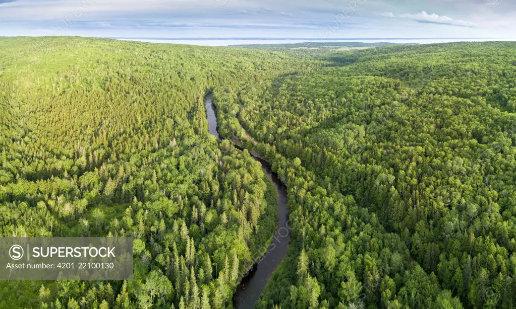 River running through taiga, Economy River, Cobequid Mountains, Nova Scotia, Canada