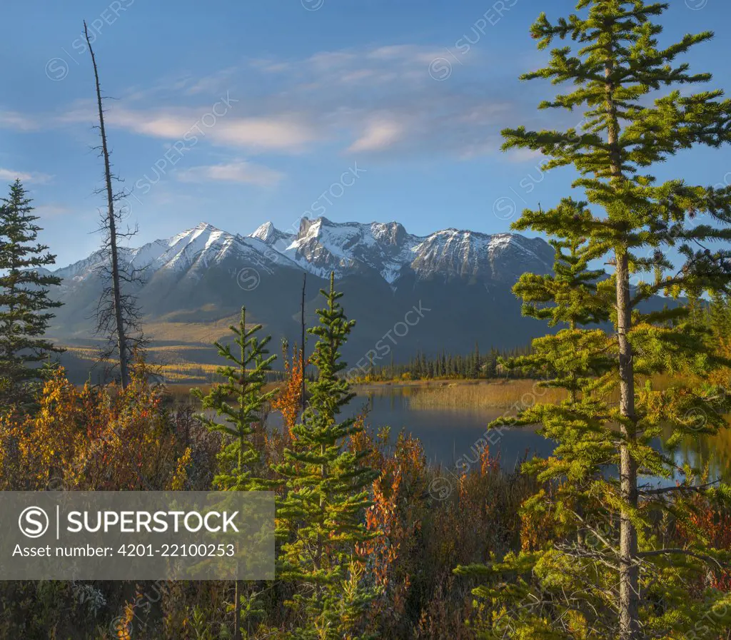 Athabasca River and Colin Range, Rocky Mountains, Jasper National Park, Alberta, Canada