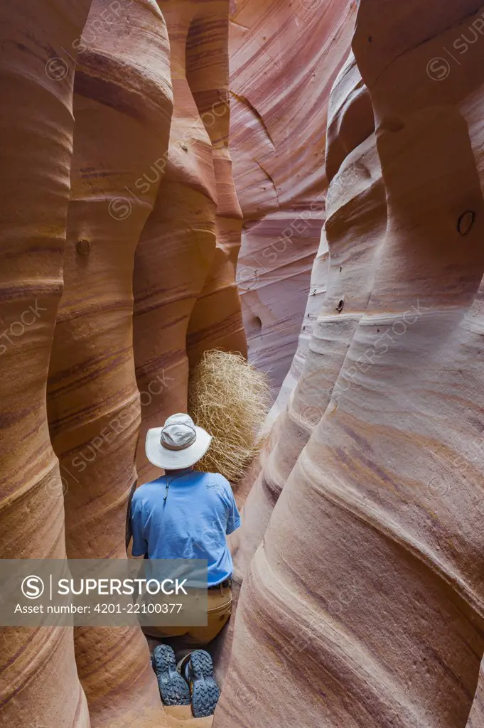 Photographer in slot canyon, Zebra Canyon, Grand Staircase-Escalante National Monument, Utah