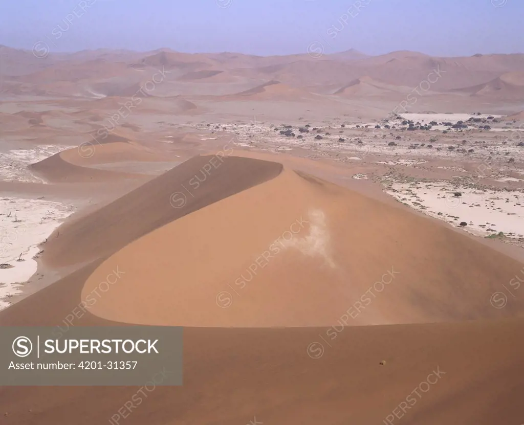 View from Big Daddy Dune, Namib-Naukluft National Park, Namibia