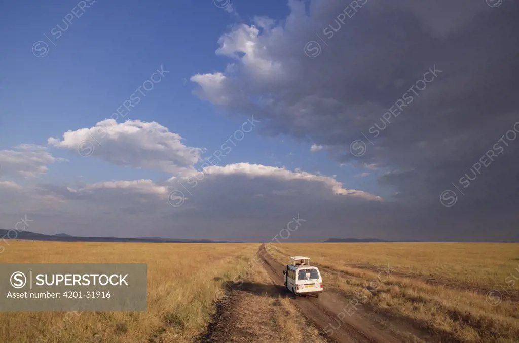 Ecotourists in the Serengeti ecosystem, Kenya and Tanzania border