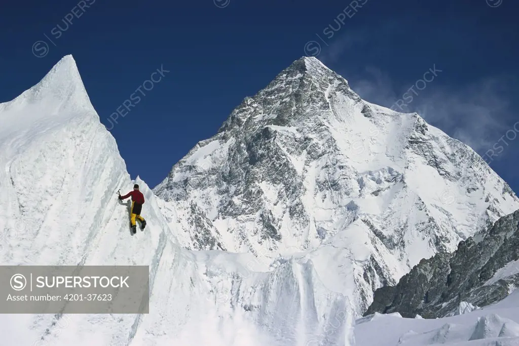 Ice climbing on serac under K2, Godwin Austen Glacier, Karakoram Mountains, Pakistan