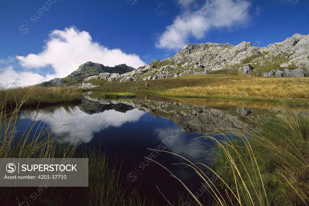 Hiker beside tarn amongst limestone formations on Mt Owen, 12,928 feet elevation, Kahurangi National Park, New Zealand