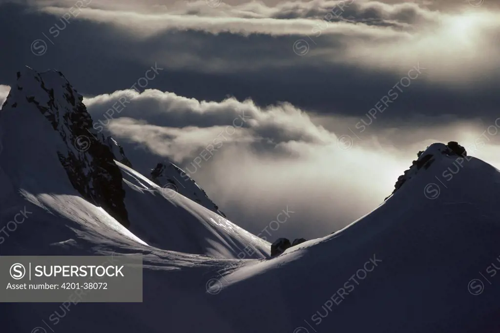 Evening light on Twin Peaks, Westland National Park, New Zealand