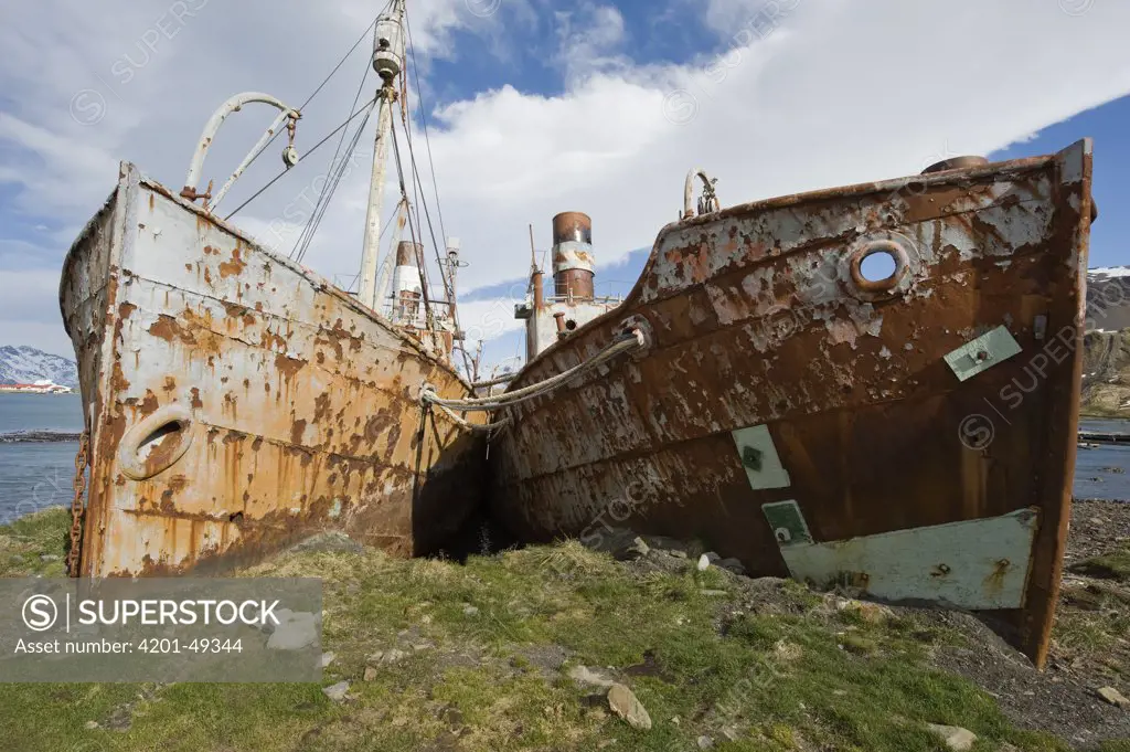 Old whaling ships stranded in abandoned whaling station, Leith, South Georgia Island