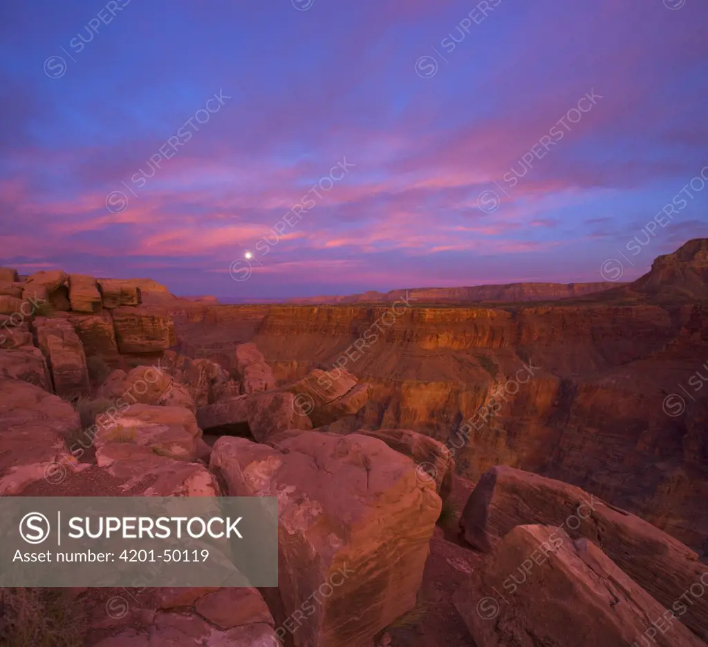 View from Toroweap Overlook, Grand Canyon National Park, Arizona