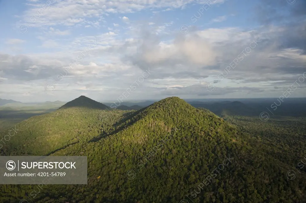 Rainforest and Kanuku Mountains, Upper Takutu-Upper Essequibo, Guyana