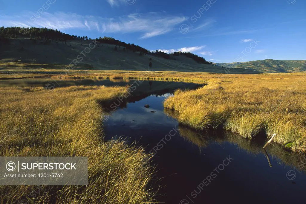 Blacktail Lake, Yellowstone National Park, Wyoming