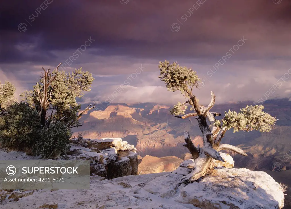 South Rim of Grand Canyon with a dusting of snow, Grand Canyon National Park, Arizona