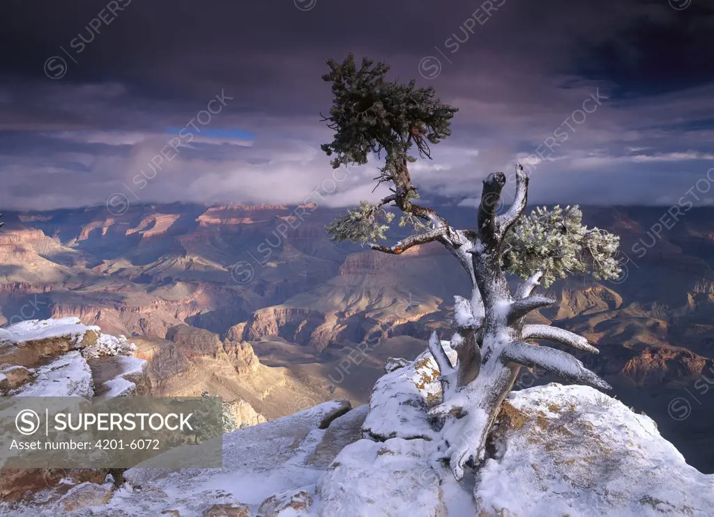 South Rim of Grand Canyon with a dusting of snow seen from Yaki Point, Grand Canyon National Park, Arizona