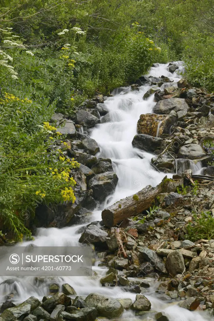 Creek near Silverton, Colorado