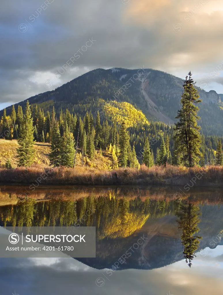 Anvil Mountain reflected in pond near Silverton, Colorado