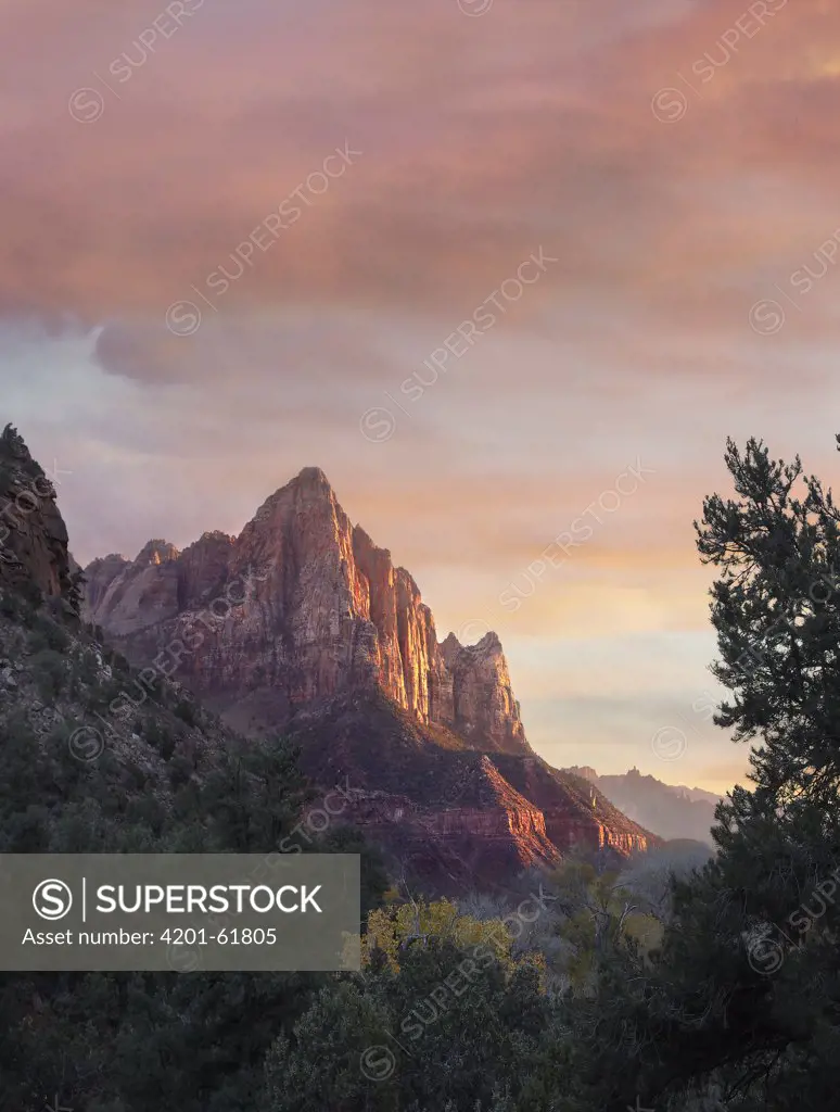 The Watchman, Zion National Park, Utah