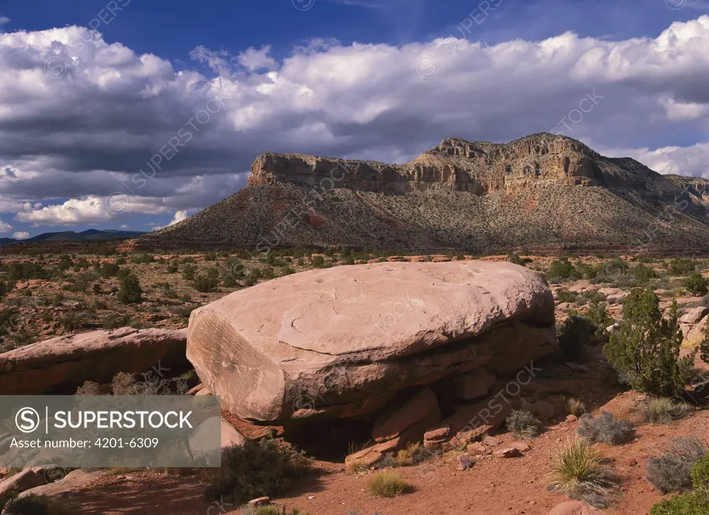 Vulcan's Throne from Toroweep Overlook, Grand Canyon National Park, Arizona