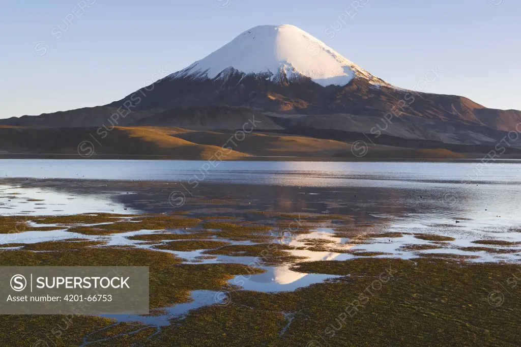 Lake Chungara with Parinacota Volcano, Lauca National Park, Chile