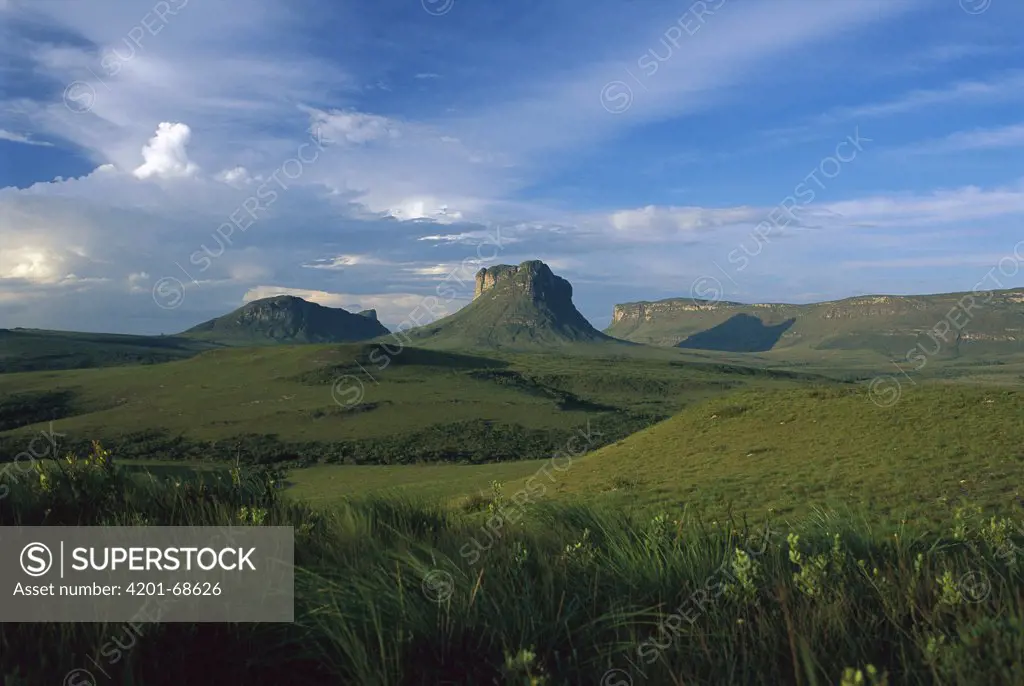 Diamantina Plateau, Cerrado Ecosystem, Brazil