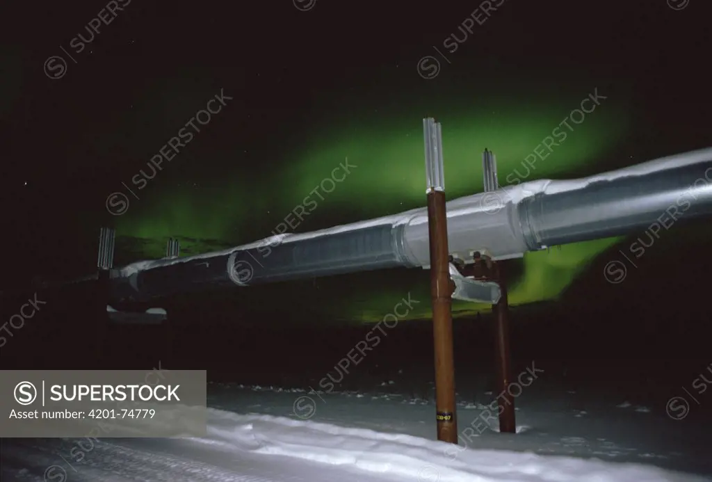 Aurora borealis over pipeline, Haul Road, Dalton Highway, Alaska