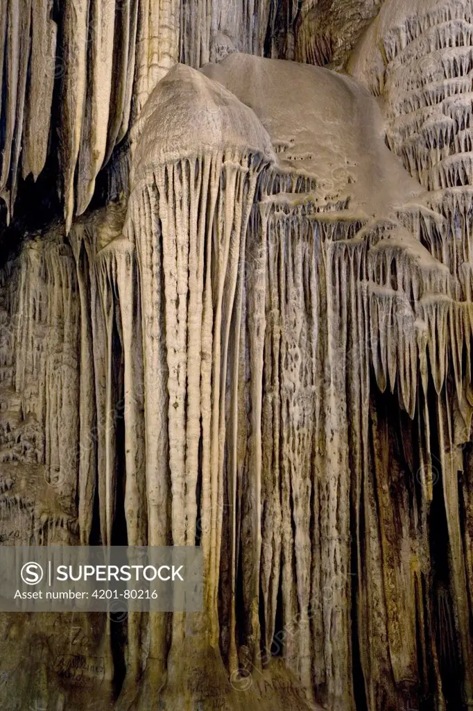 Stalactites in cave, Cacahuamilpa Caverns, Grutas de Cacahuamilpa National Park, Guerrero, Mexico