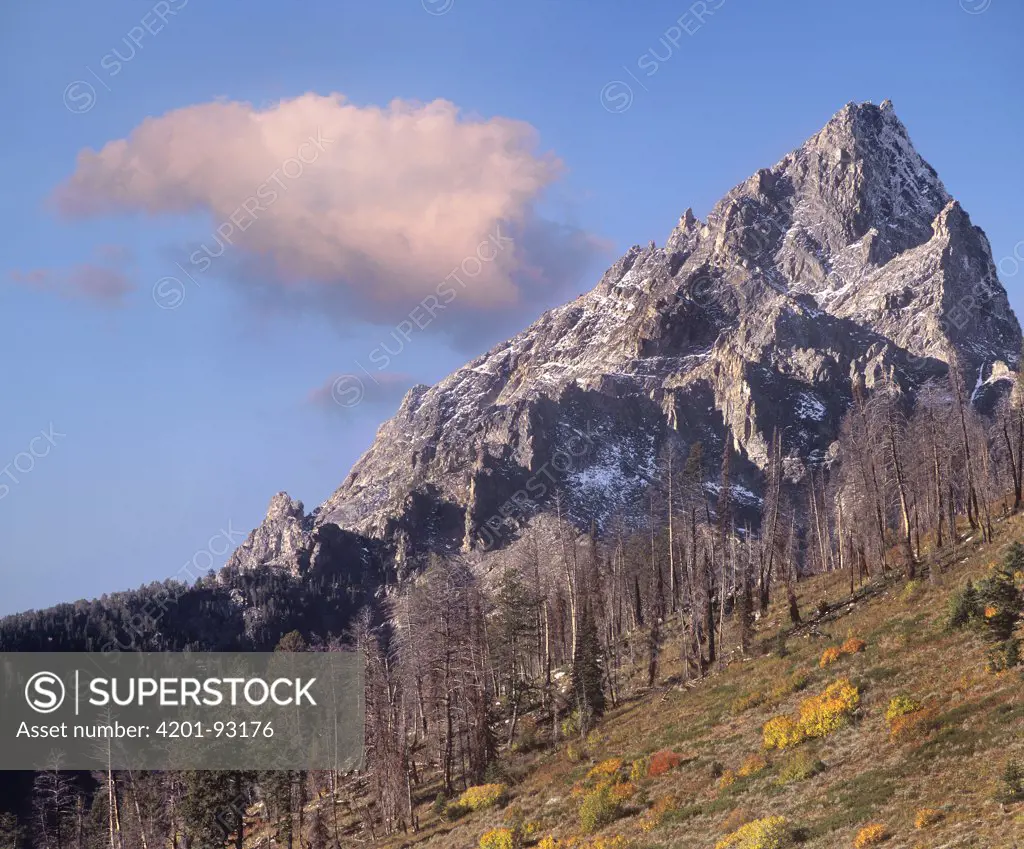 Fire damage on Grand Teton, Grand Teton National Park, Wyoming