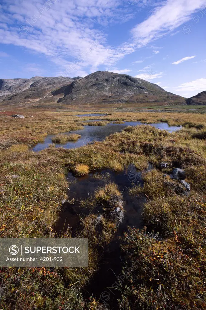 Tundra bog in autumn colors, Saglek Bay, Labrador Coast, Newfoundland, Canada