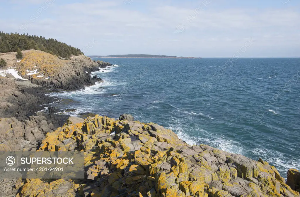 Columnar basalt on coast, Bay of Fundy, Nova Scotia, Canada