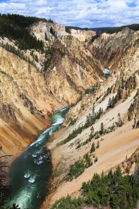 Lower Falls, Grand Canyon of Yellowstone, Yellowstone National Park, Wyoming